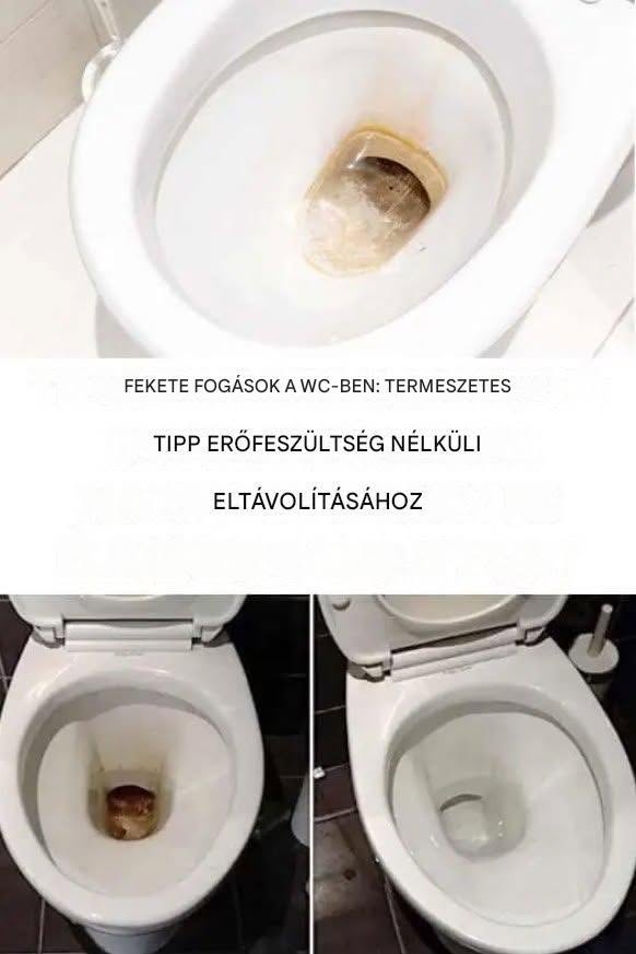 Mustat wc-istuimet: upea (ja luonnollinen) ratkaisu pinttyneiden tahrojen poistamiseen  Resepti kommenteissa. ❤️ JATKAKSESI RESEPTEJÄNI, LÄHETÄ TEKSTIVIESTI “KYLLÄ”