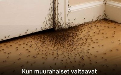Kun muurahaiset valtaavat kotisi, tässä on mitä universumi yrittää kertoa sinulle  Katso lisää ohjeita ensimmäisestä kommentista 👇😍👇