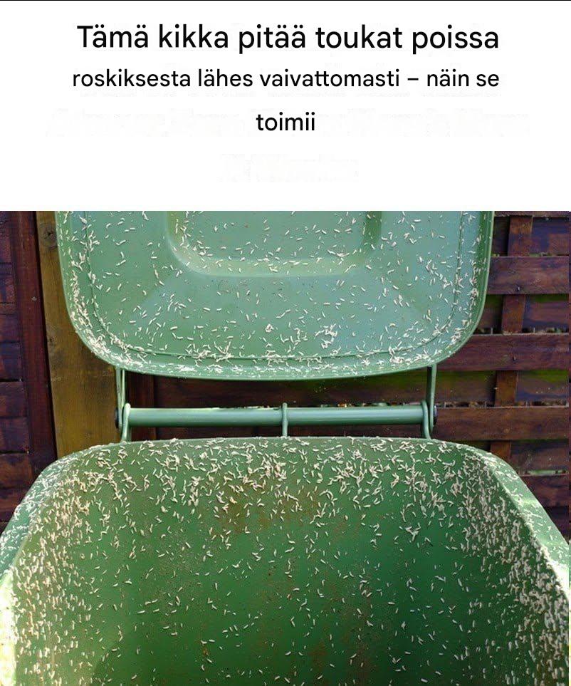 Toukat roskakorissasi… Näin voit estää niitä LISÄÄ KOMMENTEISTA ⬇️