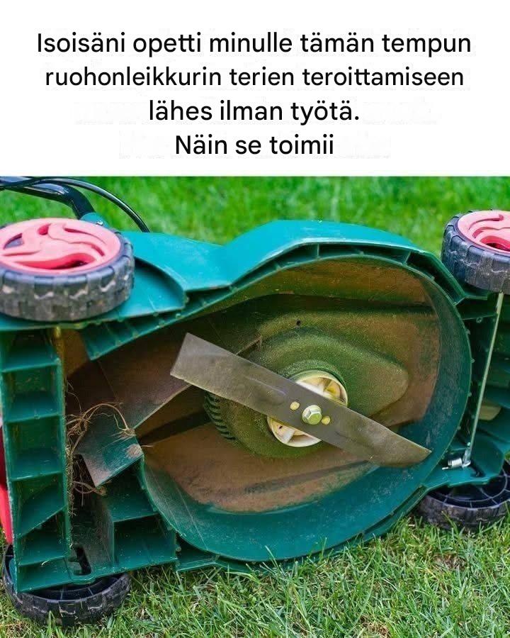 Hieno temppu. Koko artikkeli 👇 💬