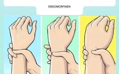Oletko ektomorfi, mesomorfi vai endomorfi? Selvitä kehotyyppisi ja miten saat siitä kaiken irti.