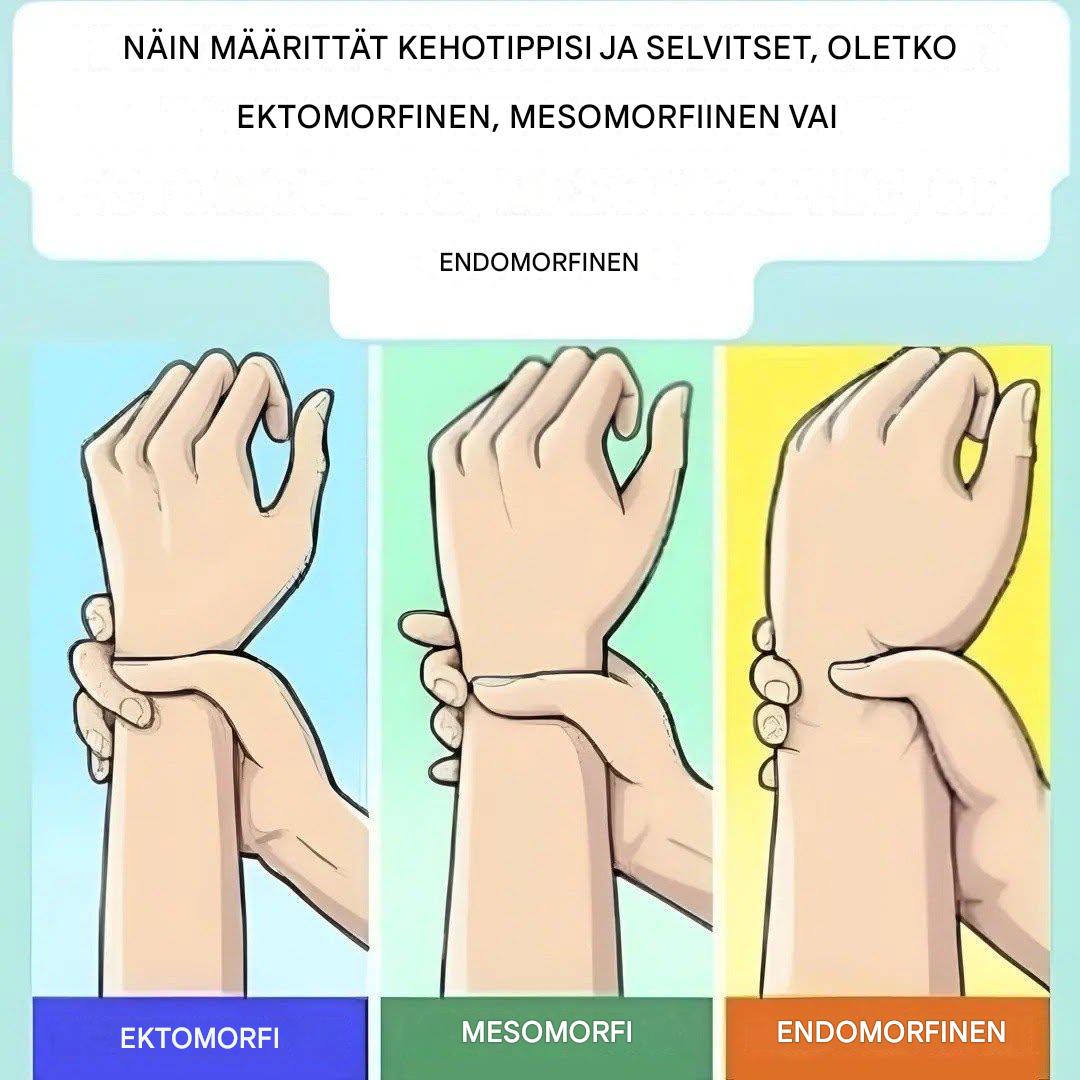 Oletko ektomorfi, mesomorfi vai endomorfi? Selvitä kehotyyppisi ja miten saat siitä kaiken irti.