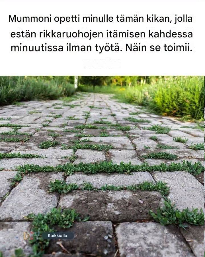 Mummoni opetti minulle tämän kikan, jolla voi estää rikkaruohojen itämisen kahdessa minuutissa ilman mitään työtä. Näin se toimii.  Katso lisää ohjeita ensimmäisestä kommentista 👇😍👇