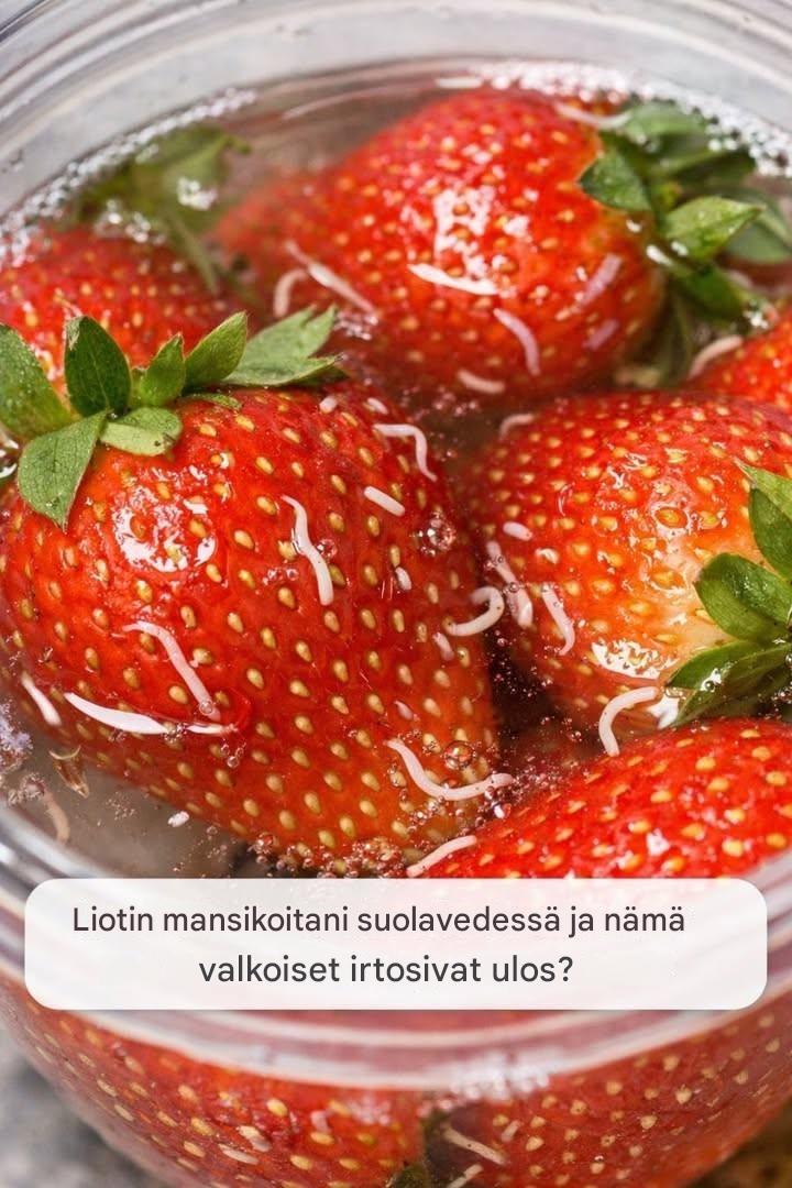 Liotin mansikoitani suolavedessä ja nämä valkoiset asiat irtosivat ulos?. Koko artikkeli 👇 💬