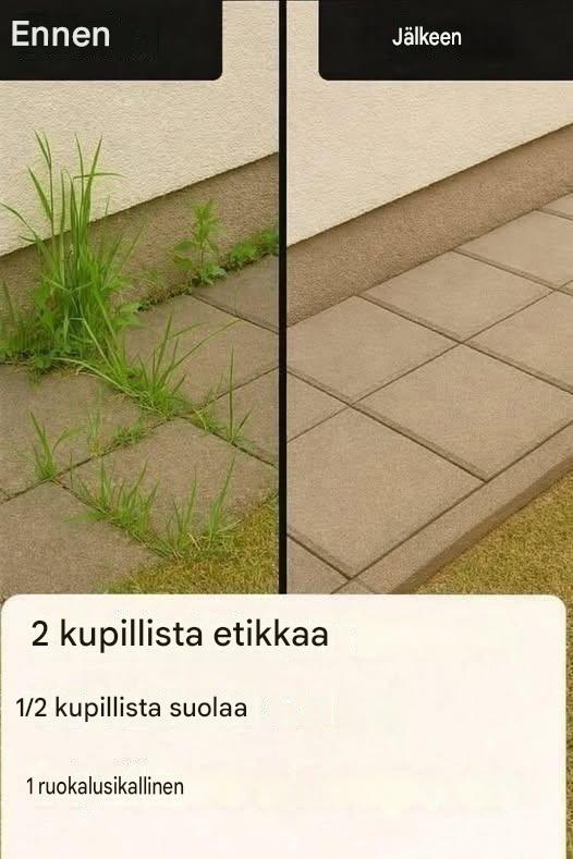 Kuinka tehdä supertehokas kotitekoinen rikkakasvien torjunta-aine