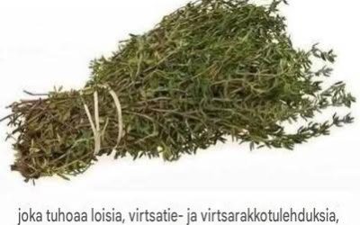Tämä tehokas keittiöyrtti voi auttaa torjumaan loisia, infektioita ja kausiluonteisia sairauksia luonnollisesti… jaa ja tykkää, jos pidät tätä hyödyllisenä ⬇️