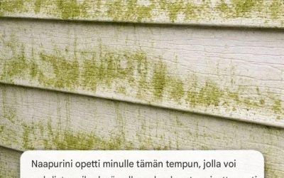 Naapurini opetti minulle tämän tempun, jolla voi puhdistaa viherlevän ulkoverhouksesta vaivattomasti. Näin se toimii.