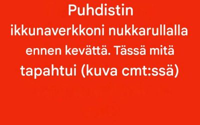 Puhdistin ikkunaverkkoni nukkarullalla ennen kevättä. Tässä mitä tapahtui. Koko artikkeli 👇 💬