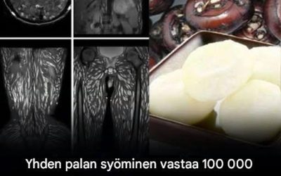 Yhdenkin palan syöminen on jo haitallista, mutta monet syövät sen edelleen huoletta Yhdenkin palan syöminen on jo haitallista, mutta monet syövät sen edelleen huoletta