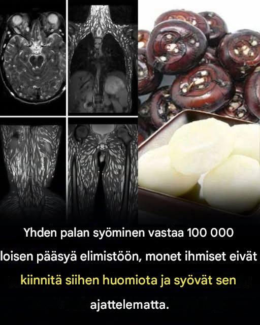 Yhdenkin palan syöminen on jo haitallista, mutta monet syövät sen edelleen huoletta Yhdenkin palan syöminen on jo haitallista, mutta monet syövät sen edelleen huoletta